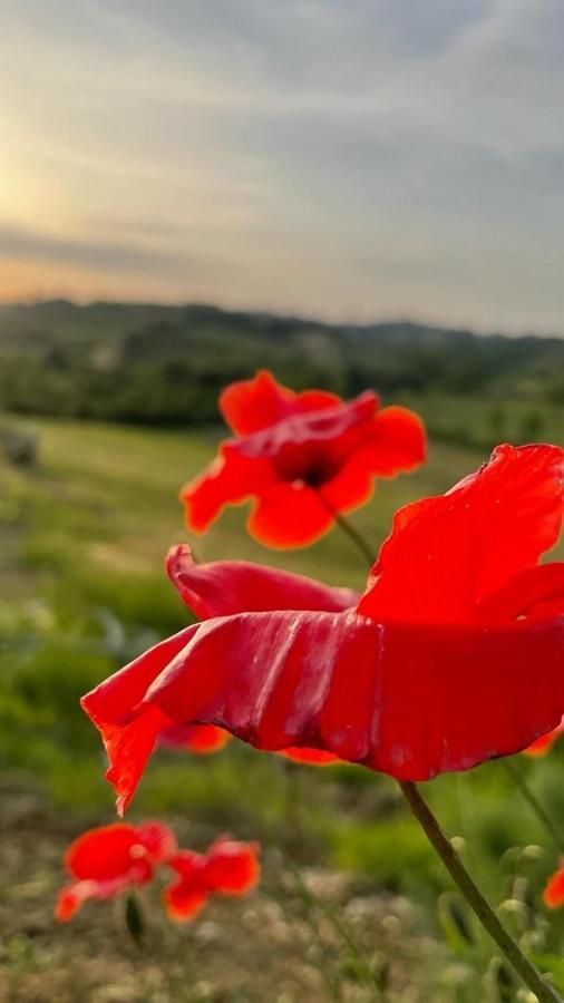 La Corte Del Sole Vakantieboerderij