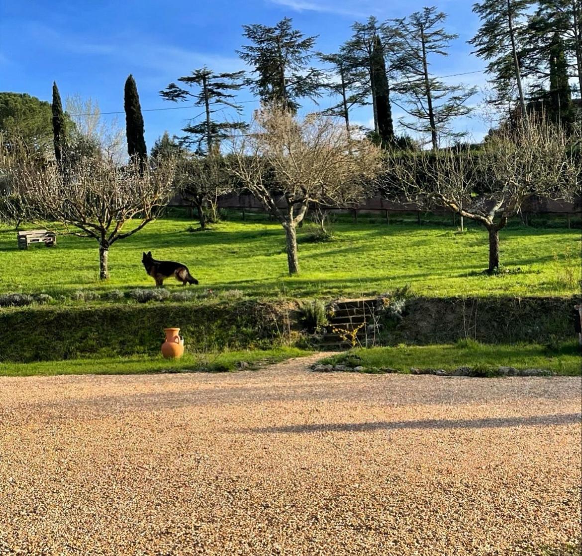 La Corte Del Sole Vakantieboerderij