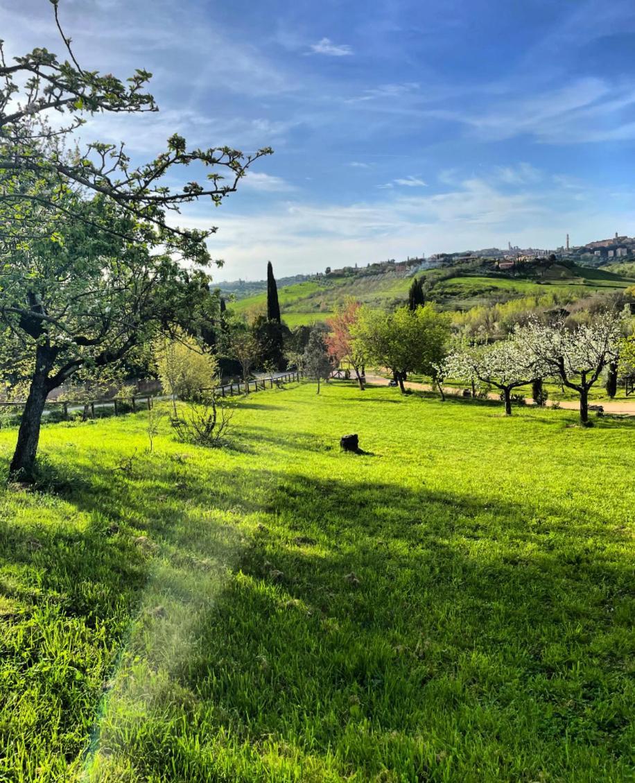 Vakantieboerderij La Corte Del Sole Siena