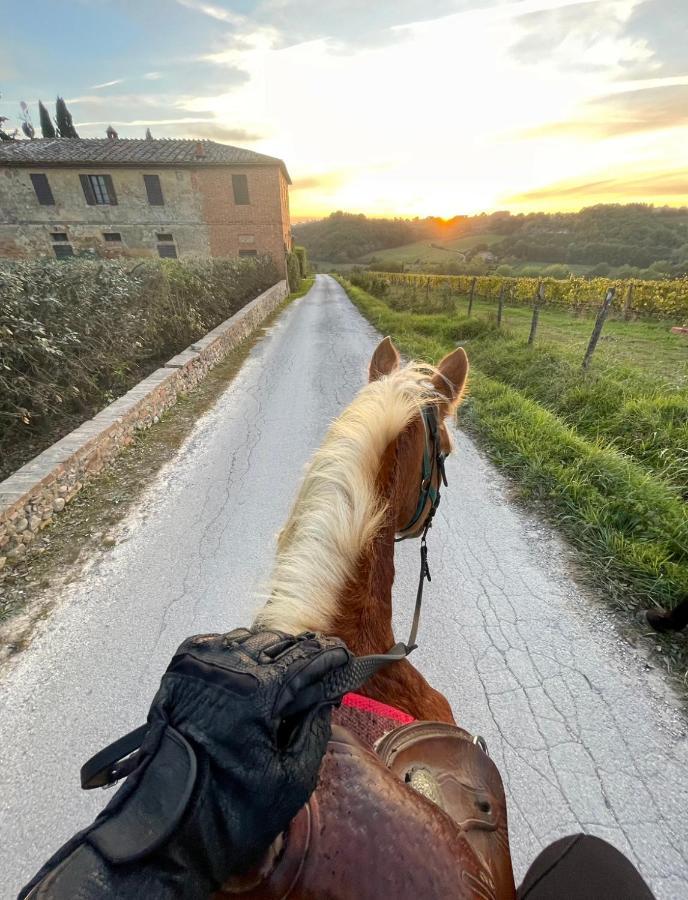 La Corte Del Sole Siena
