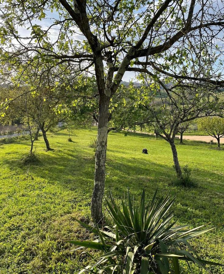La Corte Del Sole Bauernhof