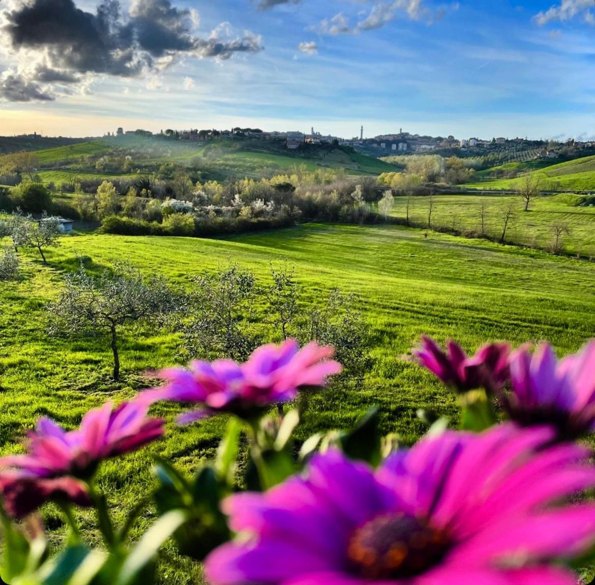 La Corte Del Sole *