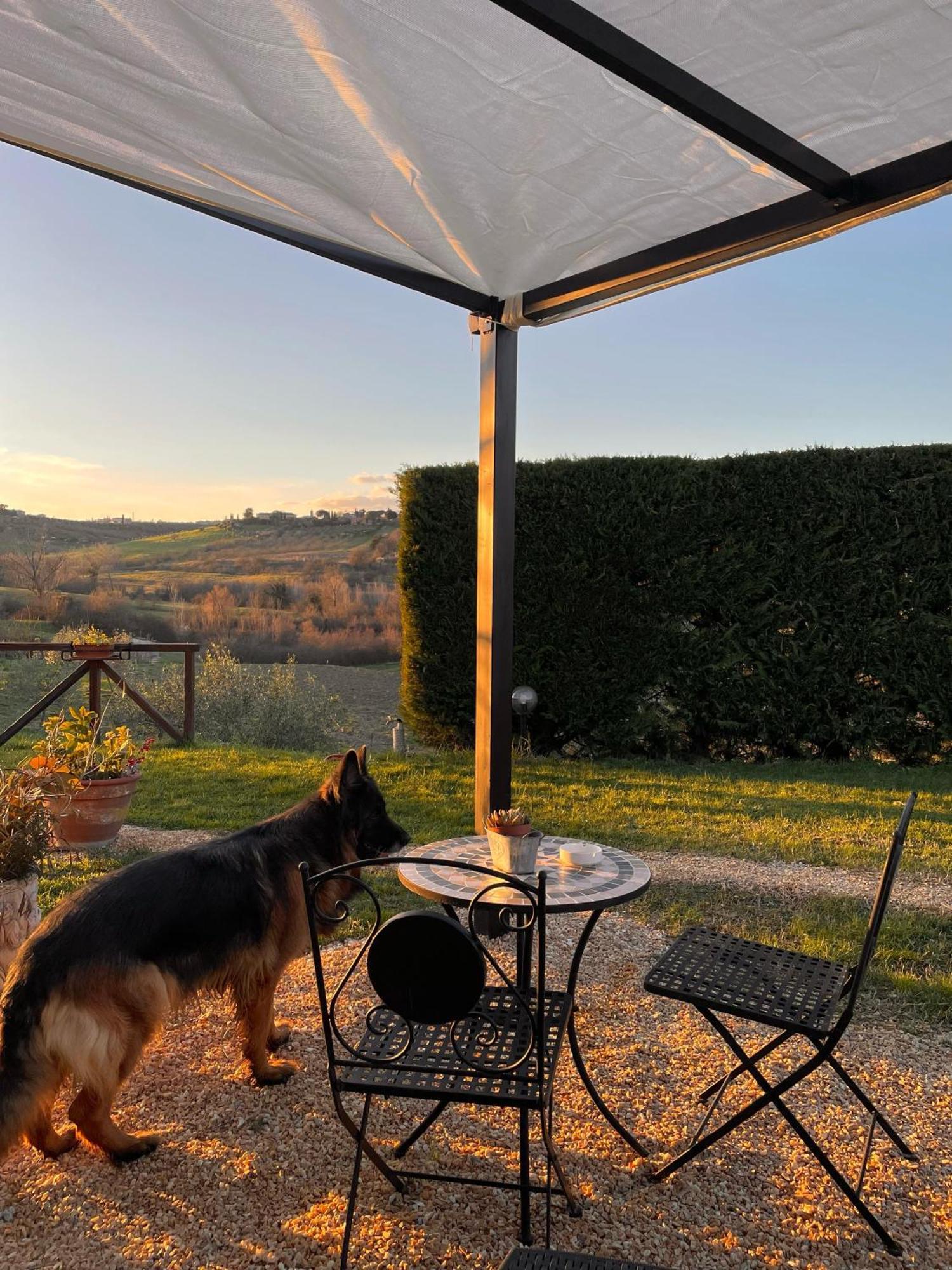 La Corte Del Sole * Siena