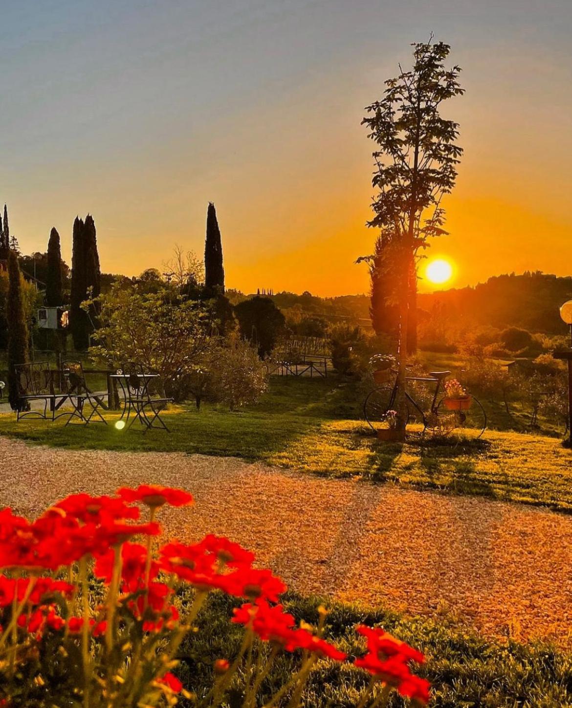 La Corte Del Sole