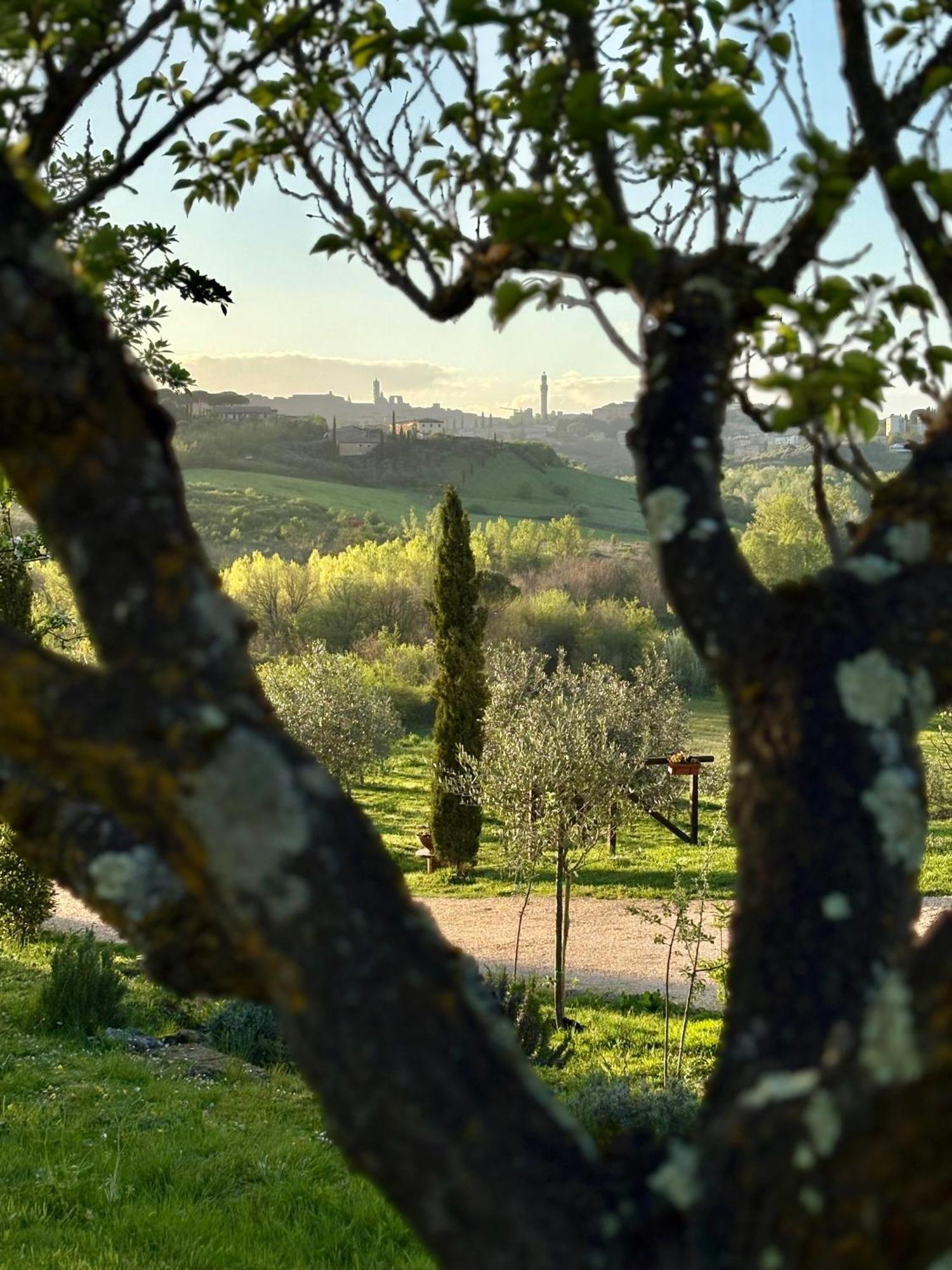 La Corte Del Sole *