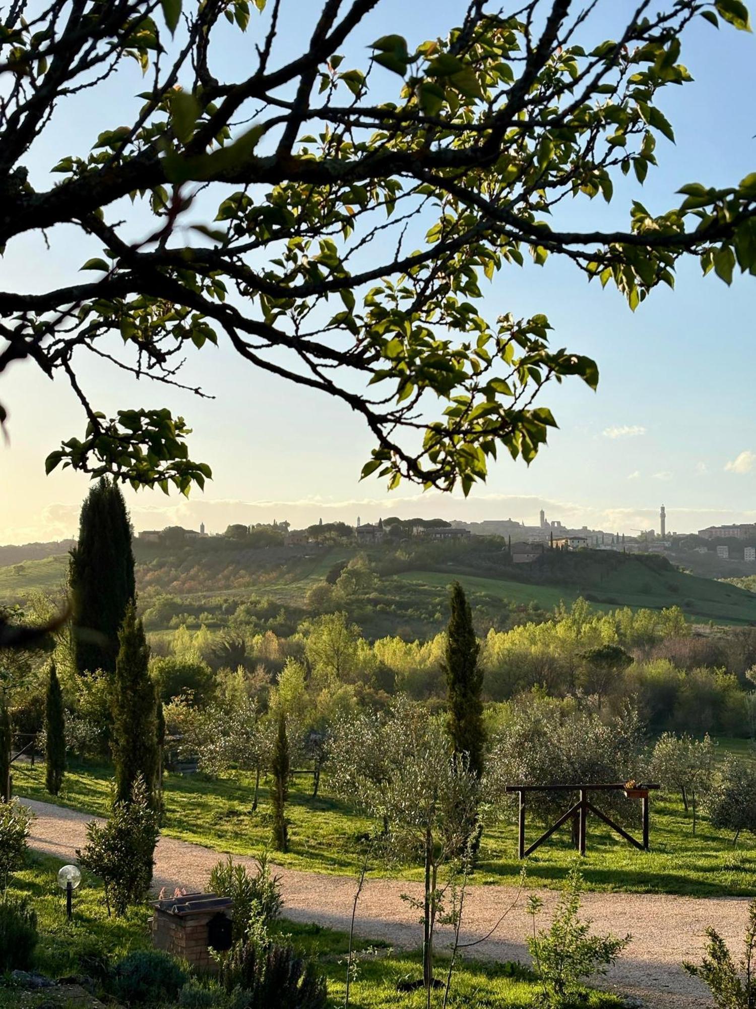 La Corte Del Sole Siena