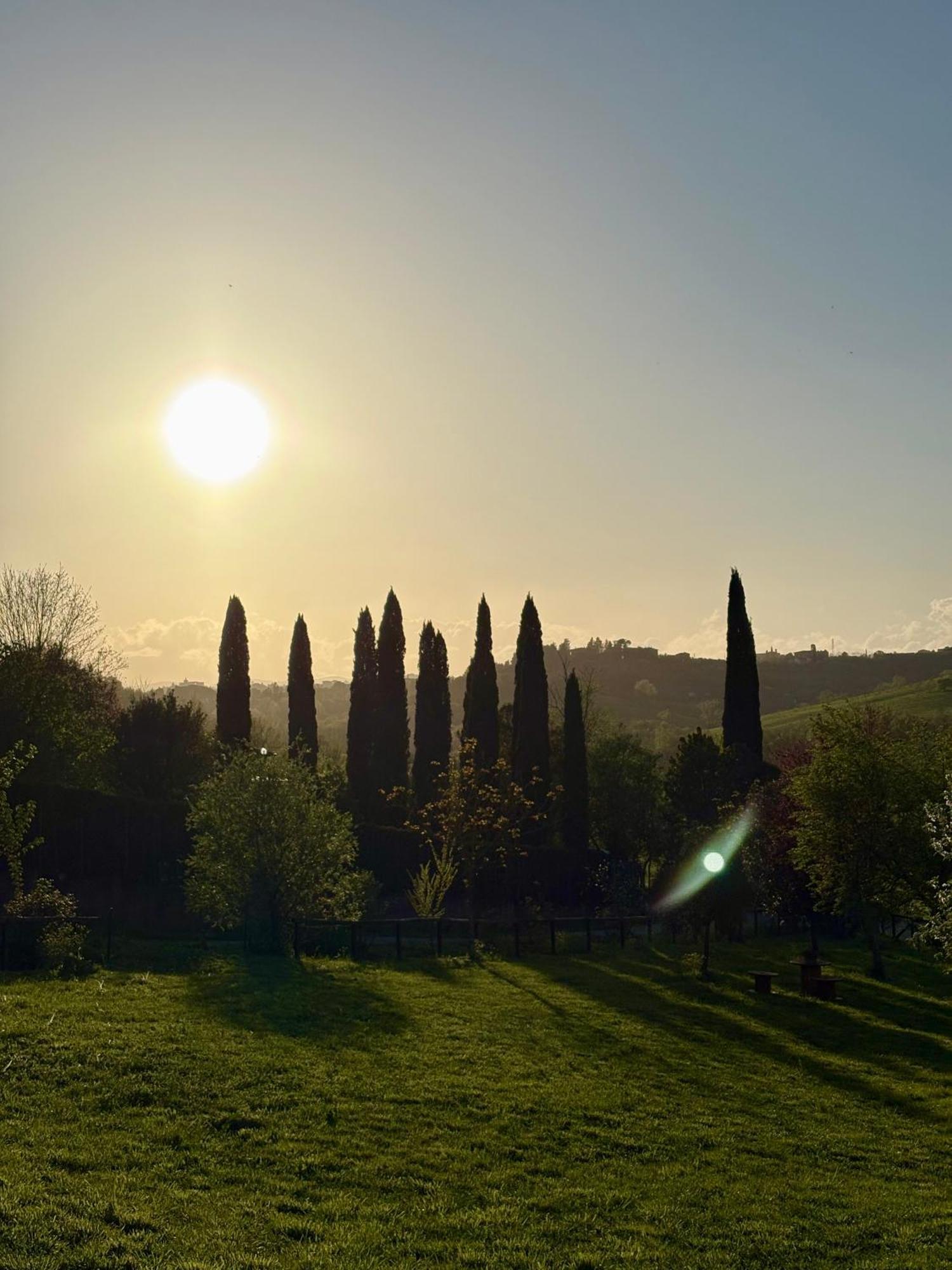 La Corte Del Sole
